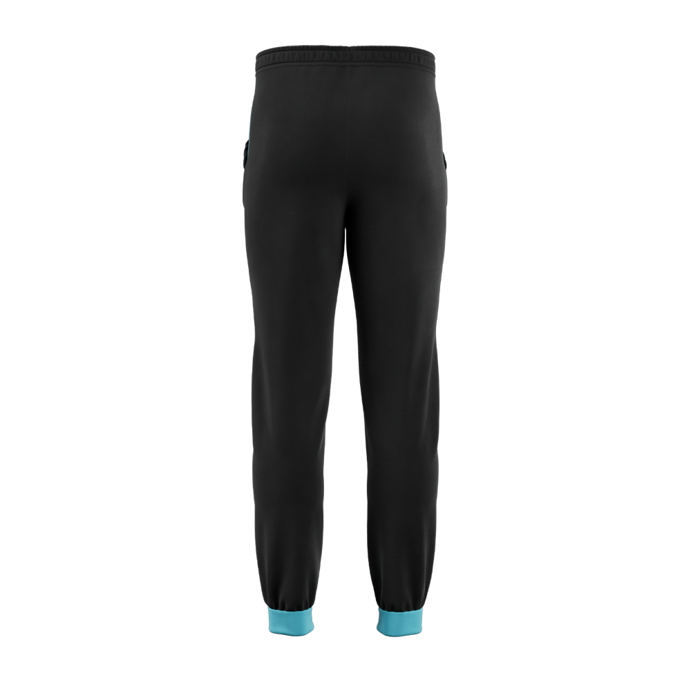 Sweatcicle Sweatsuit (Jogging Pants) - Image 2